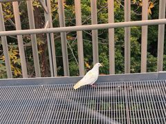 -福道