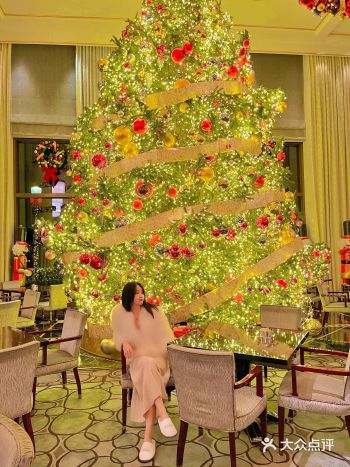2021圣诞季|半岛圣诞树C位今年免排队️