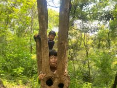 -上海佘山国家森林公园天马山园