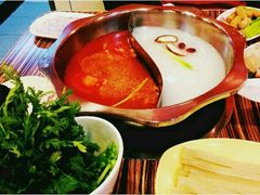 -龙凤禧毛肚火锅(阳光舜城店)