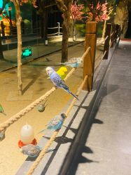 -酷嗒动物文化乐园(cutezoo西溪乐天城店)