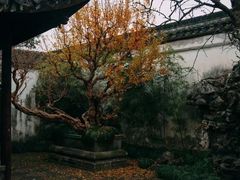 -粤华烧腊(胥口店)