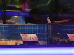 -加餐海鲜自助(宝龙一城店)