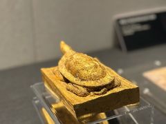 -深圳博物馆(古代艺术馆)