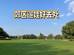 -东方绿舟景区