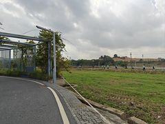 -光明小镇欢乐田园