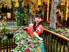 -正佳雨林生态植物园