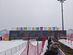 -沈阳奥体冰雪嘉年华