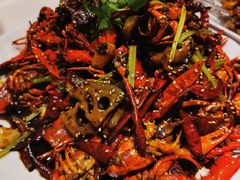 -京悦南门涮羊肉·羊蝎子火锅(田林路店)