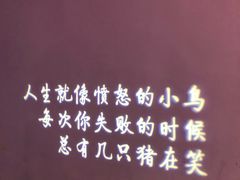-成都失恋馆