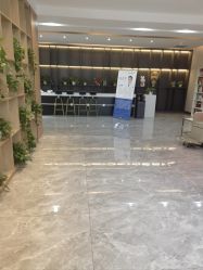 -碧莲盛·不剃发植发
