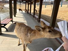 -南京金牛湖风景区