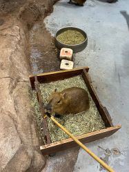 -Zoolung Zoolung动物主题公园(海信广场店)