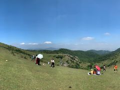 -大姆山草场