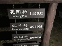 -鬼笑石后山停车场