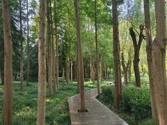 -郑州植物园