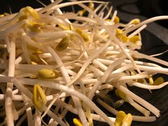 -渝涯重庆豆花老火锅(中赢国际店)