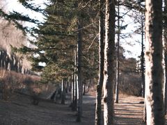 -长春市南湖公园