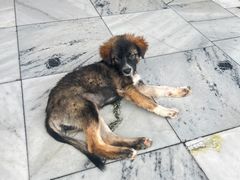 -九华山风景区月身宝殿