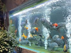 -又见炊烟私房菜(敬亭路店)