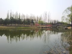 -大兴滨河森林公园