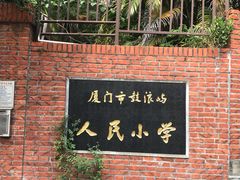 -贝壳梦幻世界