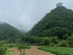 -狮子沟牧场