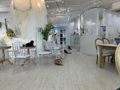 大堂-共舞时光猫咖·狗咖(新街口店)
