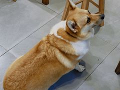 -阿木舂记·特色小吃(平江路店)