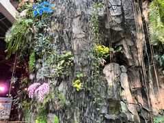 -正佳雨林生态植物园