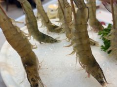 -牛天下·牛肉·海鲜·打边炉·融合菜