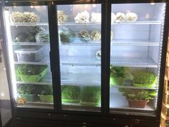 -东椰·海南椰子鸡火锅(朝阳门店)