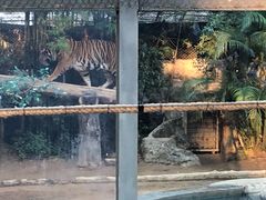 -清迈夜间动物园