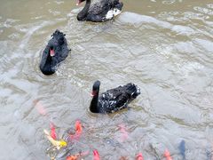 -华谊兄弟（长沙）电影小镇