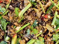 -邛海风味特色菜馆