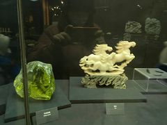 -烟台自然博物馆