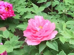 -好麺世家海鲜面馆(新建中路店)