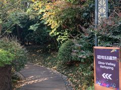 -常州环球恐龙城维景国际大酒店