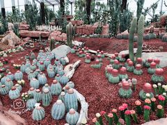 -南通洲际绿博园