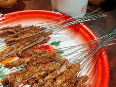 肥瘦-多寿小电烤