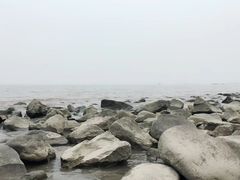 -吴淞炮台湾湿地森林公园烧烤区