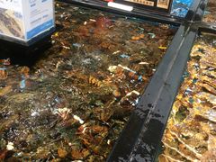 -盒马鲜生(皇庭广场店)