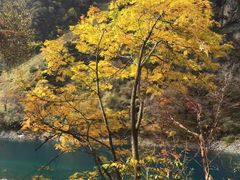 -叠溪松坪沟景区
