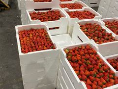 -西郊国际农产品交易中心