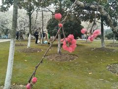 -江南大学(蠡湖校区)