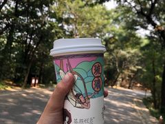 -茶颜悦色(岳麓山顶店)