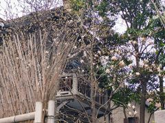 -思南公馆商业街