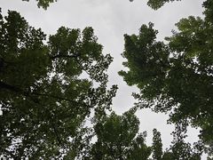 -汉长安城未央宫国家考古遗址公园