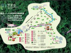 -野象谷景区