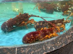-西贝海鲜汇(槐安路店)